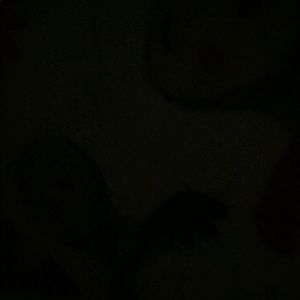 Meet your Posher, Emely